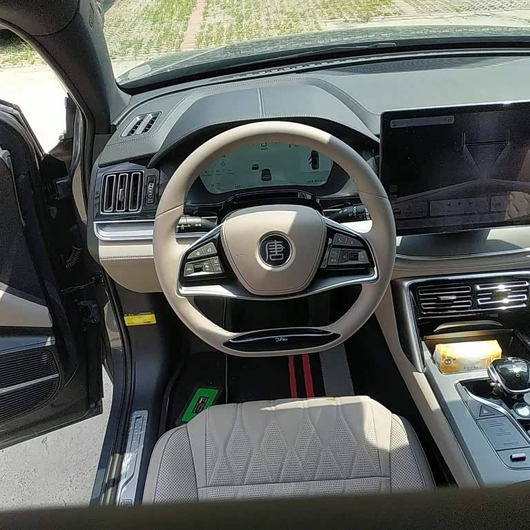 Tang New Energy 2025 DM-i 115KM Premium Edition Tang New Energy 2025 DM-i 115KM Premium Edition