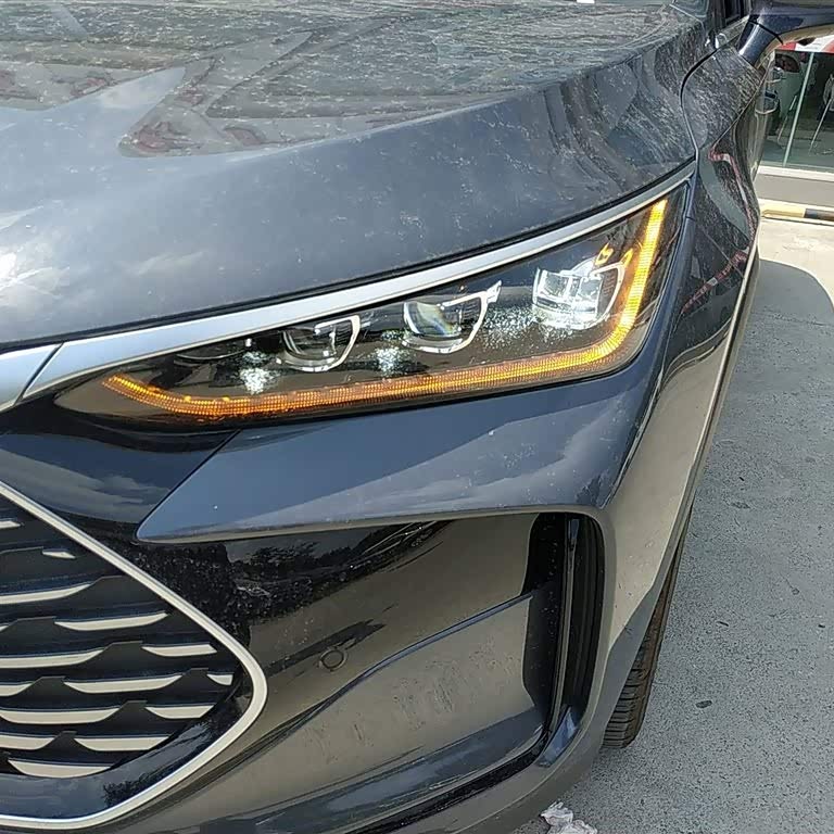 Tang New Energy 2025 DM-i 115KM Premium Edition Tang New Energy 2025 DM-i 115KM Premium Edition