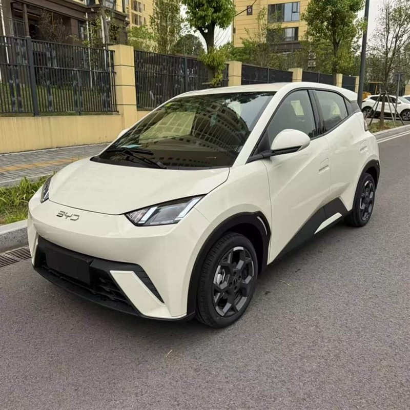 Seagull 2025 305km Freedom Edition Seagull 2025 305km Freedom Edition