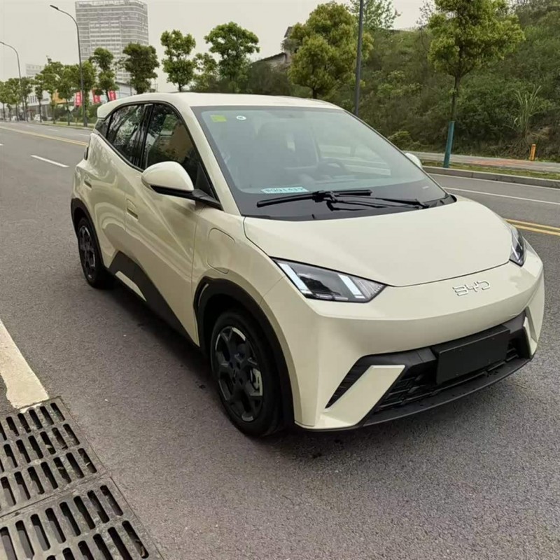 Seagull 2025 305km Freedom Edition
