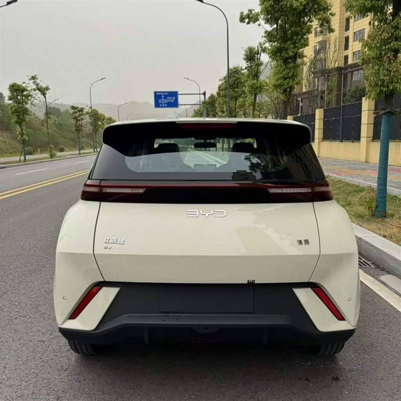 Seagull 2025 305km Freedom Edition Seagull 2025 305km Freedom Edition