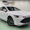 Qin PLUS 2023 Champion Edition DM-i 120KM Leading Edition