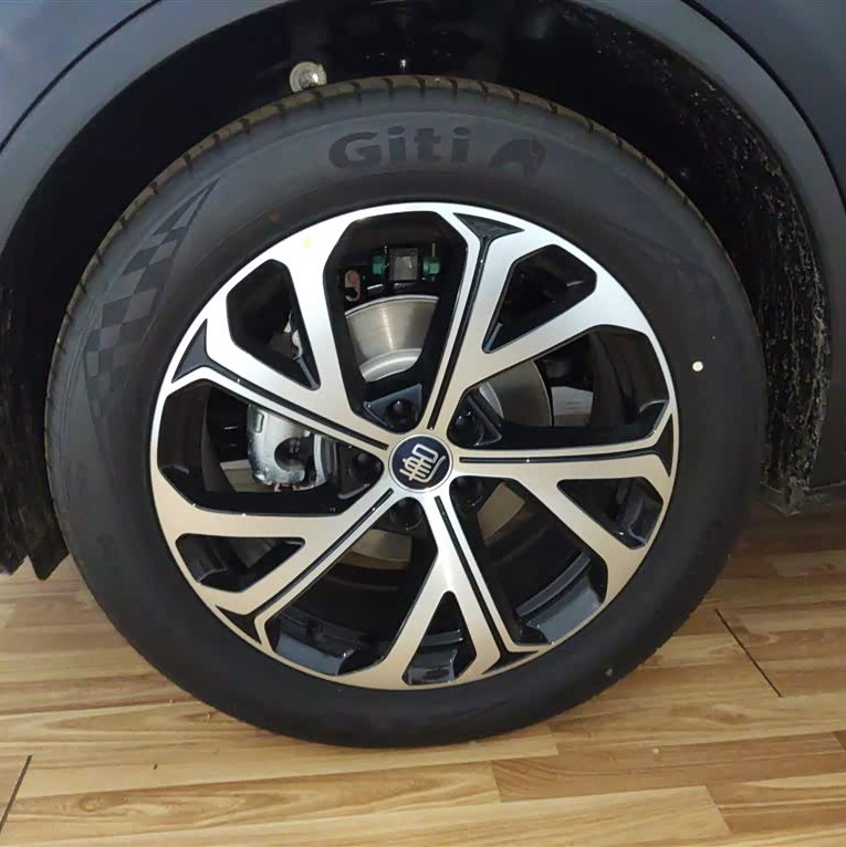 Tang New Energy 2025 DM-i 115KM Premium Edition Tang New Energy 2025 DM-i 115KM Premium Edition