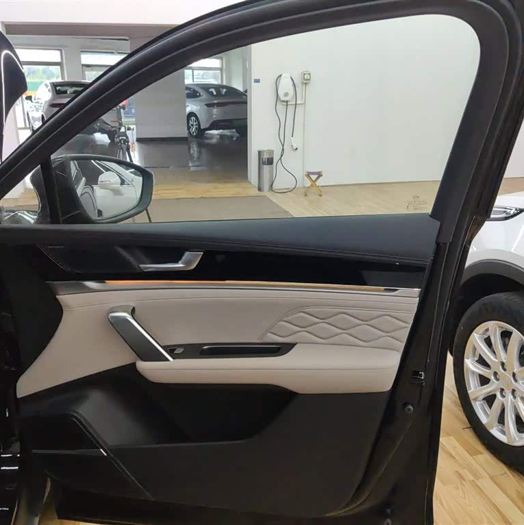 Tang New Energy 2025 DM-i 115KM Premium Edition Tang New Energy 2025 DM-i 115KM Premium Edition