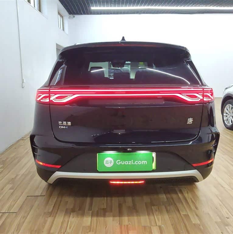 Tang New Energy 2025 DM-i 115KM Premium Edition Tang New Energy 2025 DM-i 115KM Premium Edition