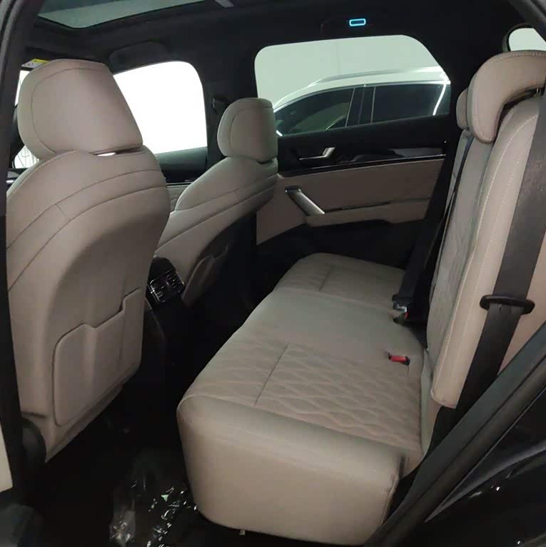 Tang New Energy 2025 DM-i 115KM Premium Edition Tang New Energy 2025 DM-i 115KM Premium Edition