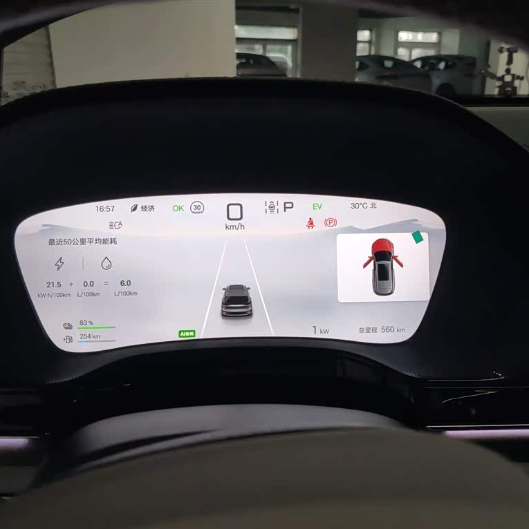 Tang New Energy 2025 DM-i 115KM Premium Edition Tang New Energy 2025 DM-i 115KM Premium Edition