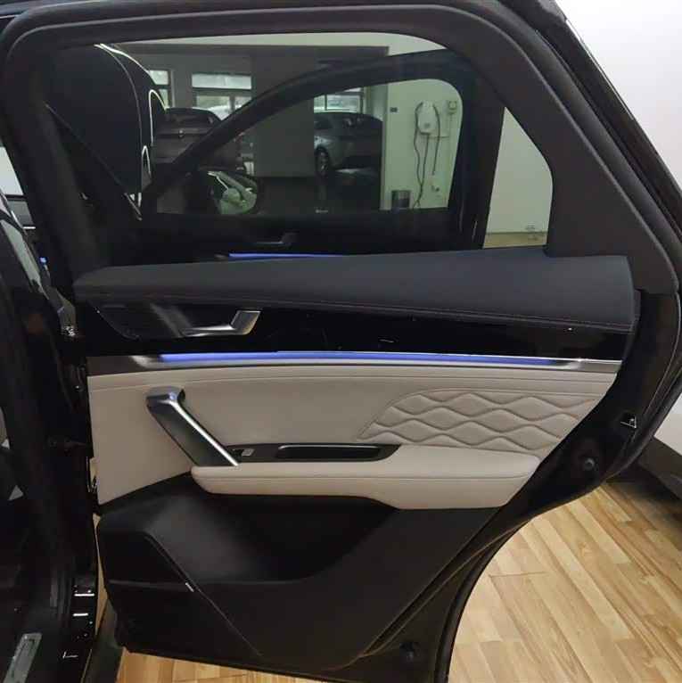 Tang New Energy 2025 DM-i 115KM Premium Edition Tang New Energy 2025 DM-i 115KM Premium Edition