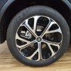 Tang New Energy 2025 DM-i 115KM Premium Edition Tang New Energy 2025 DM-i 115KM Premium Edition