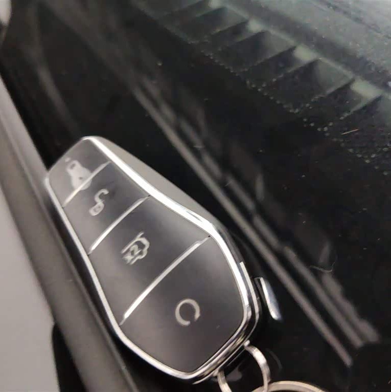 Tang New Energy 2025 DM-i 115KM Premium Edition Tang New Energy 2025 DM-i 115KM Premium Edition