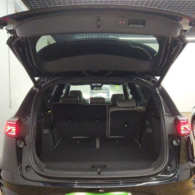 Tang New Energy 2025 DM-i 115KM Premium Edition Tang New Energy 2025 DM-i 115KM Premium Edition