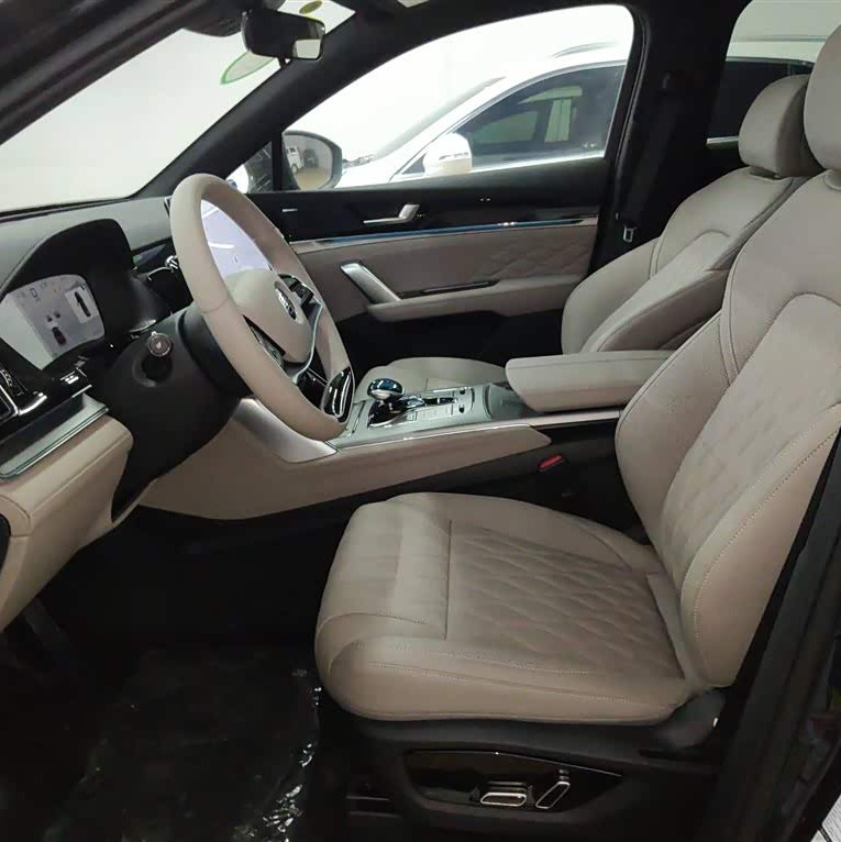 Tang New Energy 2025 DM-i 115KM Premium Edition Tang New Energy 2025 DM-i 115KM Premium Edition