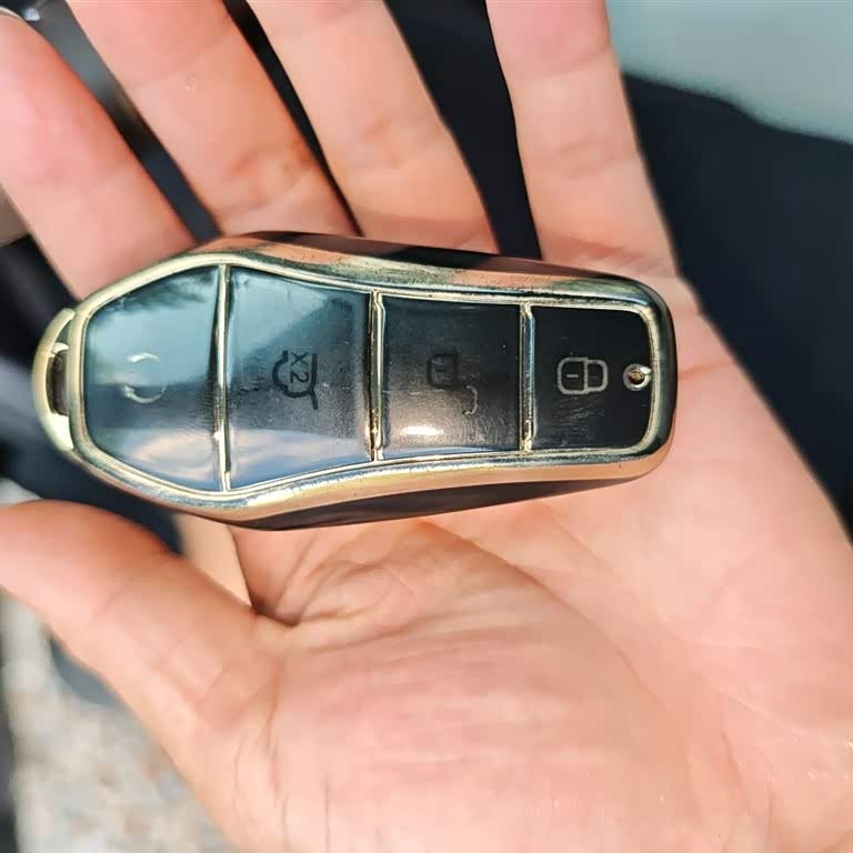 Qin PLUS 2024 Honor Edition DM-i 55KM Leading Edition Qin PLUS 2024 Honor Edition DM-i 55KM Leading Edition
