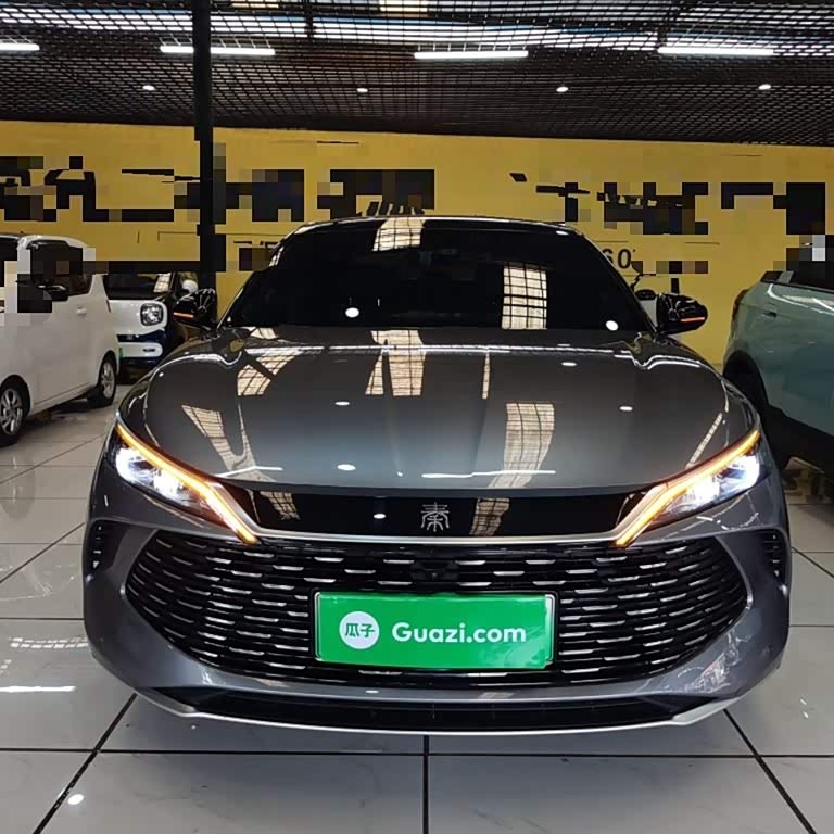 Qin L 2024 DM-i 80KM Beyond Edition Qin L 2024 DM-i 80KM Beyond Edition