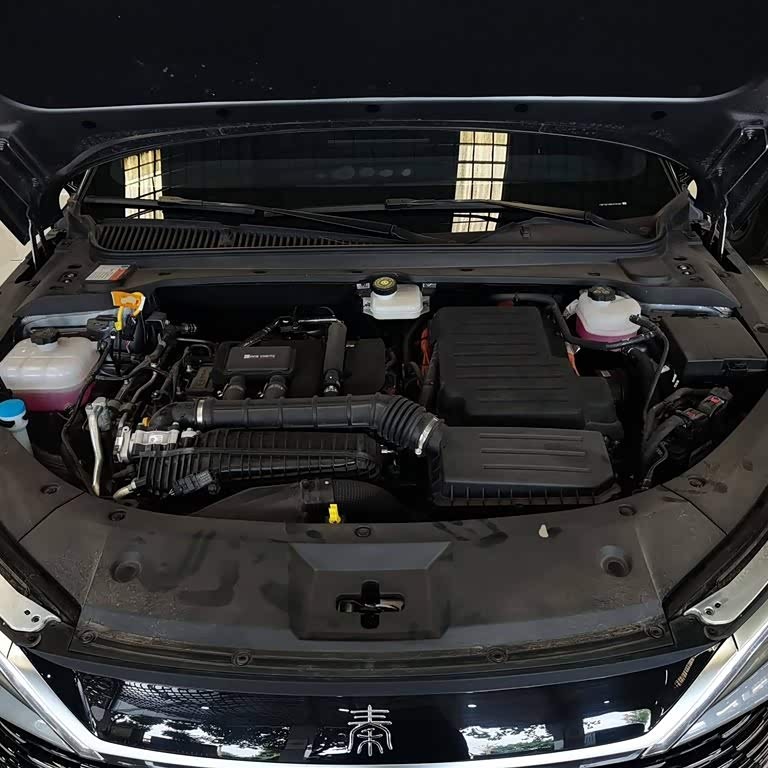 Qin L 2024 DM-i 80KM Beyond Edition Qin L 2024 DM-i 80KM Beyond Edition