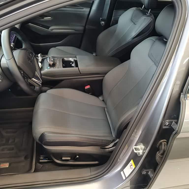Qin L 2024 DM-i 80KM Beyond Edition Qin L 2024 DM-i 80KM Beyond Edition