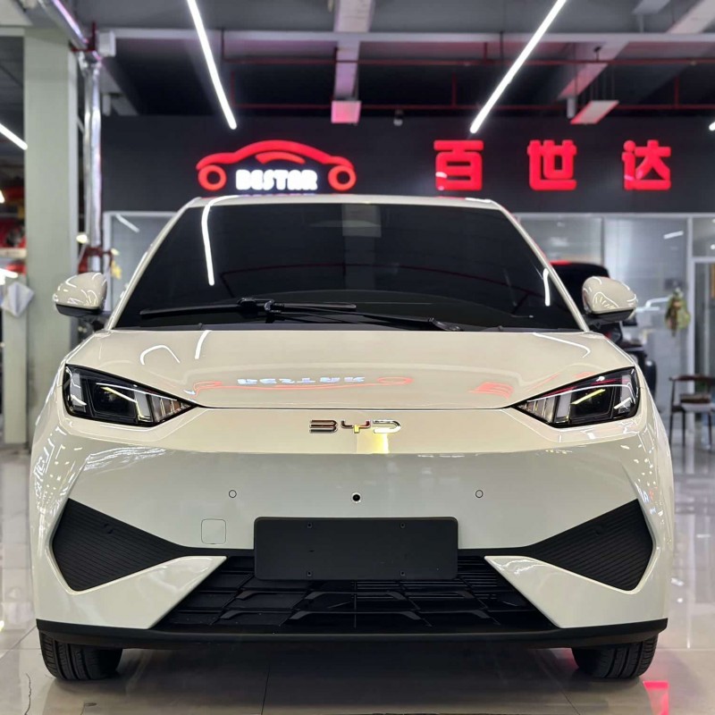 Seagull 2025 Smart Driving Edition 305km Free Edition