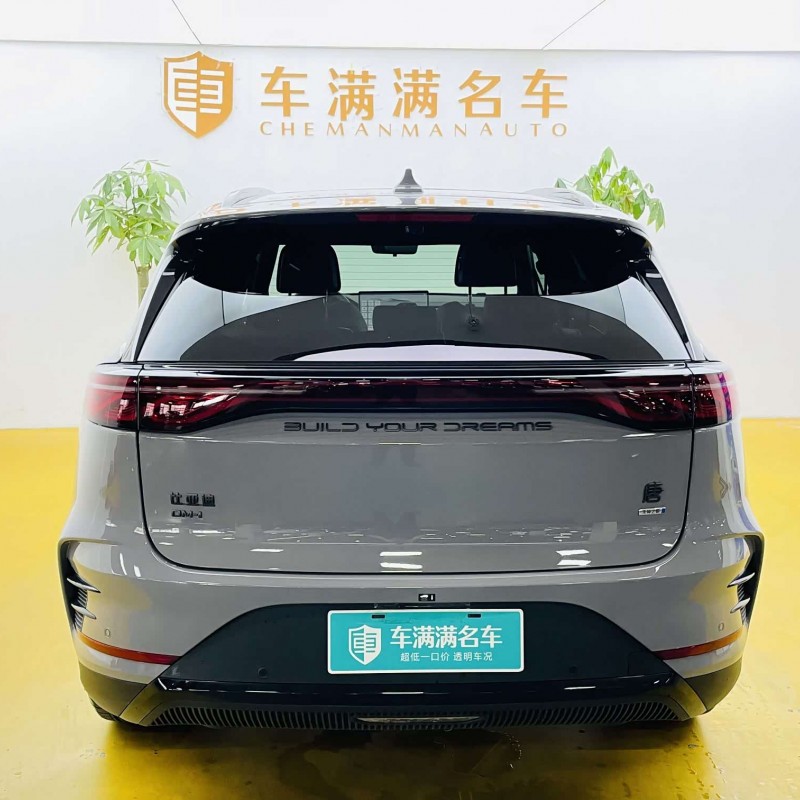 Tang New Energy 2025 DM-i Intelligent Driving Edition 115KM Flagship Model Tang New Energy 2025 DM-i Intelligent Driving Edition 115KM Flagship Model