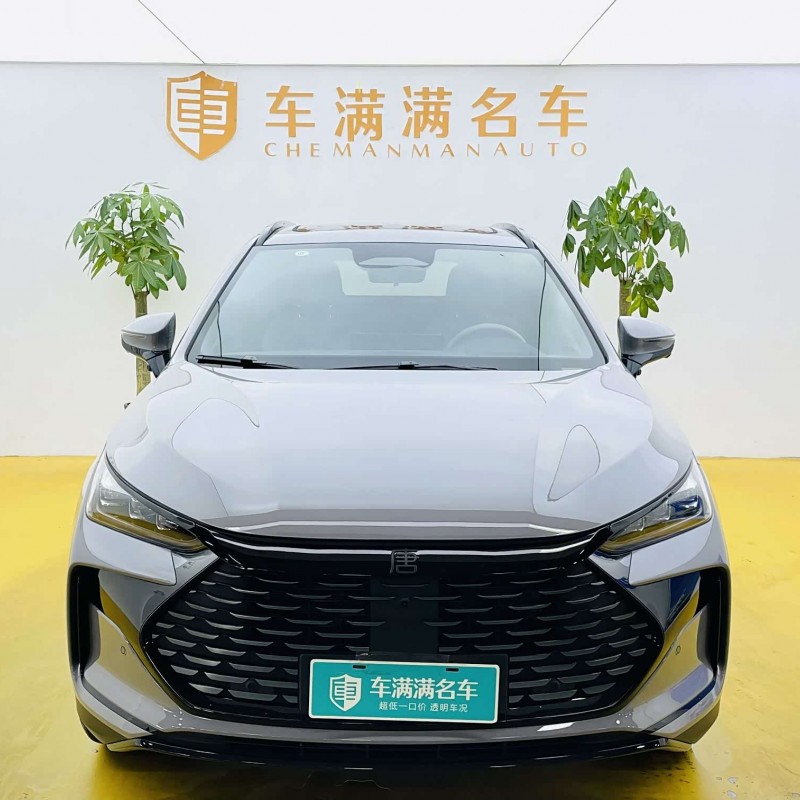 Tang New Energy 2025 DM-i Intelligent Driving Edition 115KM Flagship Model Tang New Energy 2025 DM-i Intelligent Driving Edition 115KM Flagship Model