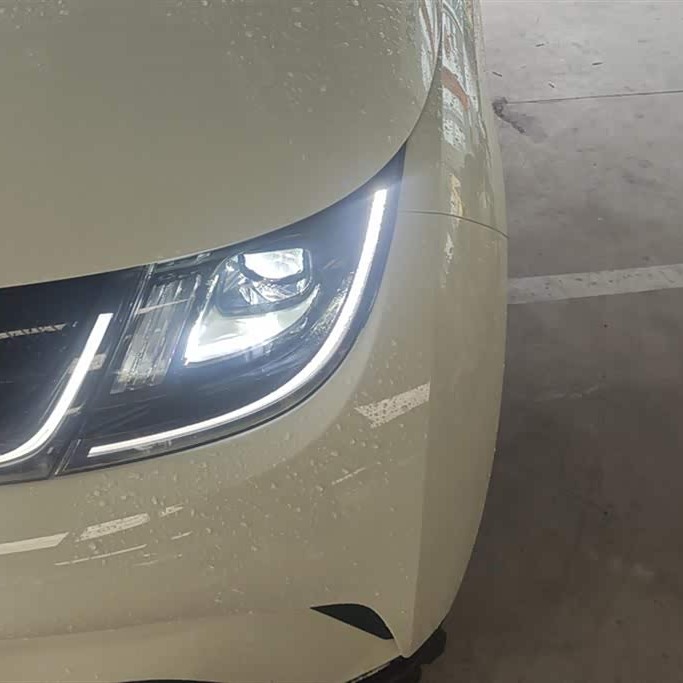 Dolphin 2025 420km Vitality Edition Dolphin 2025 420km Vitality Edition