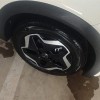 Dolphin 2025 420km Vitality Edition