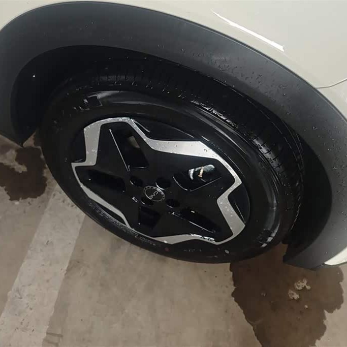 Dolphin 2025 420km Vitality Edition Dolphin 2025 420km Vitality Edition