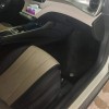 Dolphin 2025 420km Vitality Edition