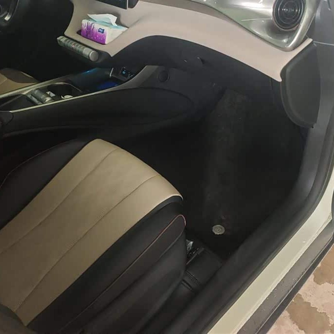 Dolphin 2025 420km Vitality Edition Dolphin 2025 420km Vitality Edition