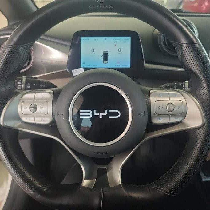 Dolphin 2025 420km Vitality Edition Dolphin 2025 420km Vitality Edition