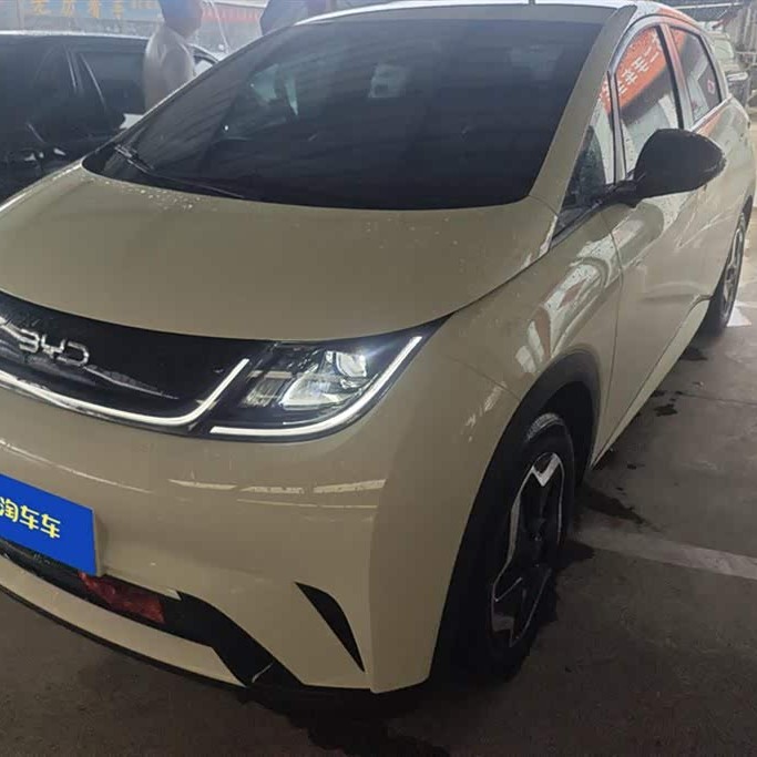 Dolphin 2025 420km Vitality Edition