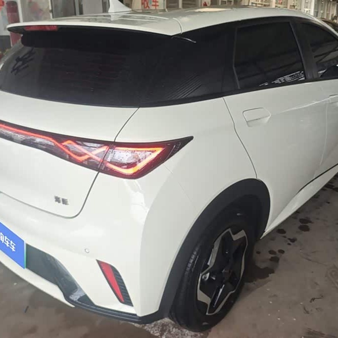 Dolphin 2025 420km Vitality Edition Dolphin 2025 420km Vitality Edition
