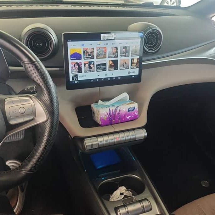 Dolphin 2025 420km Vitality Edition Dolphin 2025 420km Vitality Edition