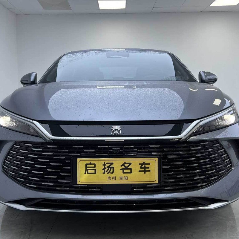 Qin L 2024 DM-i 120KM Beyond Edition Qin L 2024 DM-i 120KM Beyond Edition