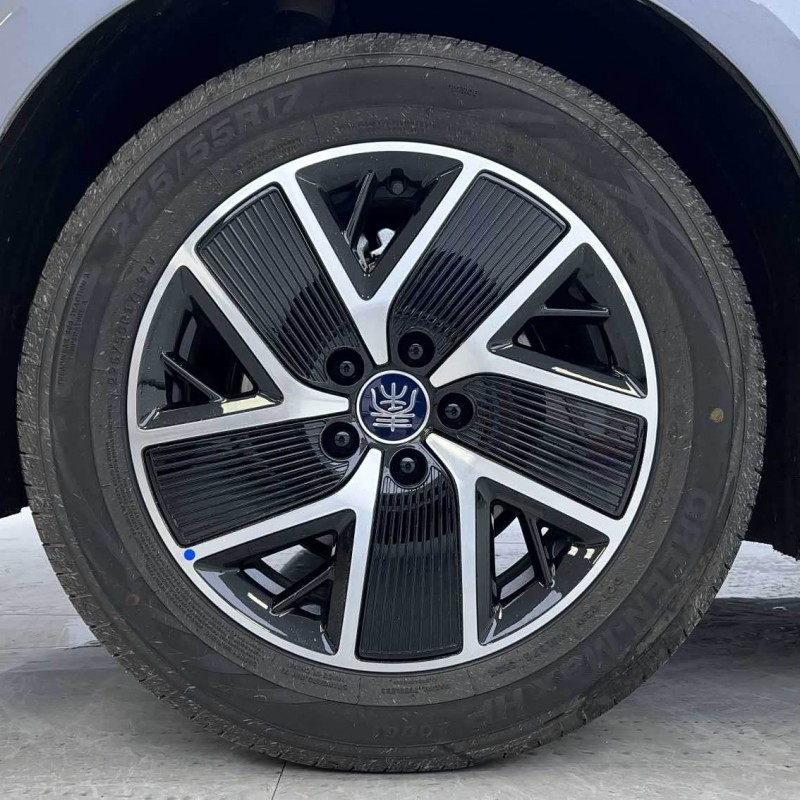 Qin L 2024 DM-i 120KM Beyond Edition Qin L 2024 DM-i 120KM Beyond Edition