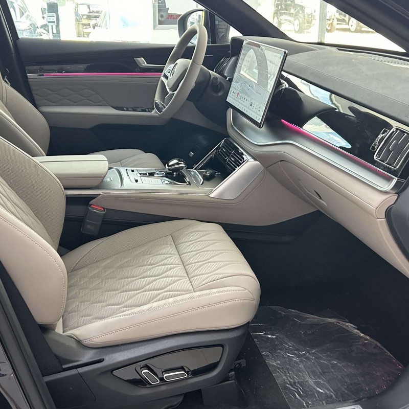 Tang New Energy 2025 DM-i 115KM Premium Edition Tang New Energy 2025 DM-i 115KM Premium Edition