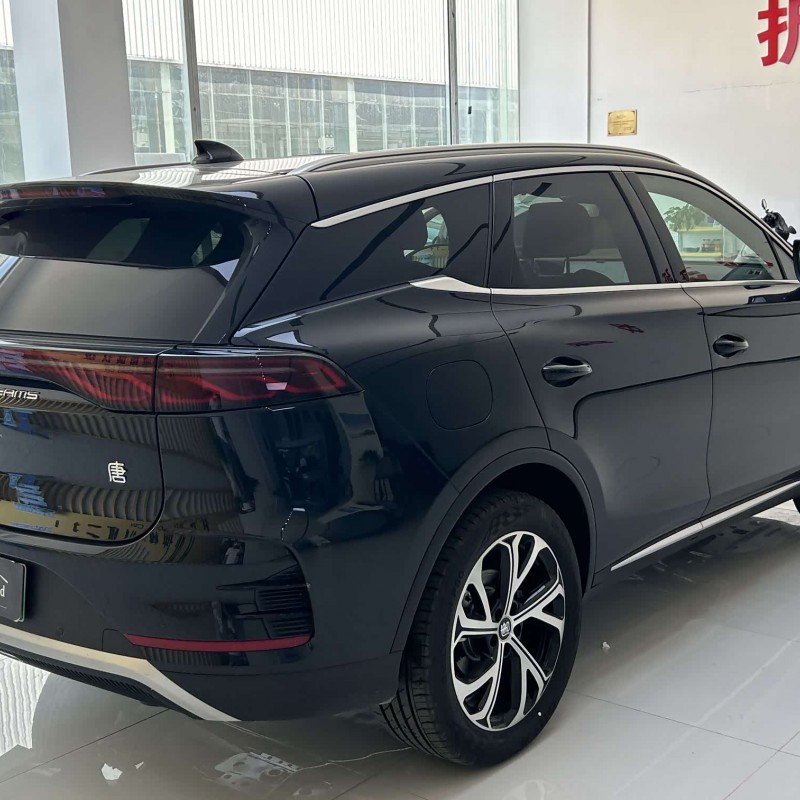 Tang New Energy 2025 DM-i 115KM Premium Edition Tang New Energy 2025 DM-i 115KM Premium Edition
