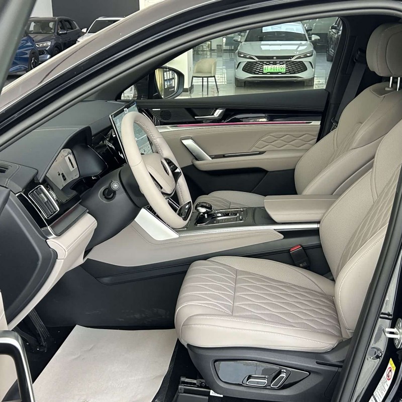 Tang New Energy 2025 DM-i 115KM Premium Edition Tang New Energy 2025 DM-i 115KM Premium Edition