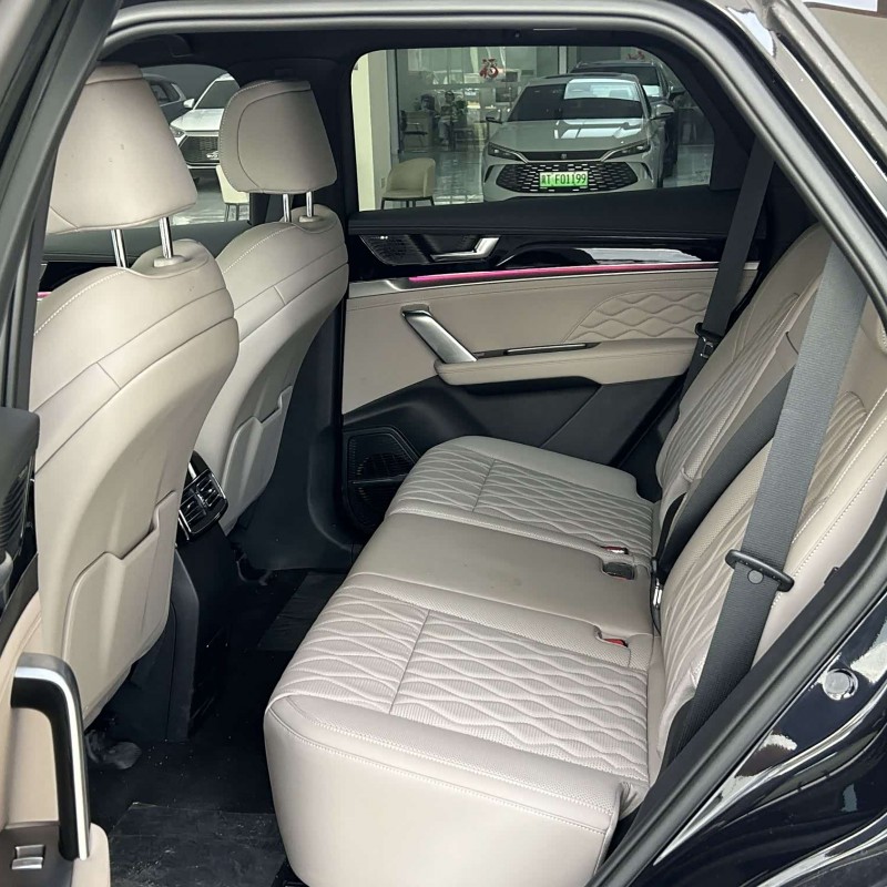 Tang New Energy 2025 DM-i 115KM Premium Edition Tang New Energy 2025 DM-i 115KM Premium Edition