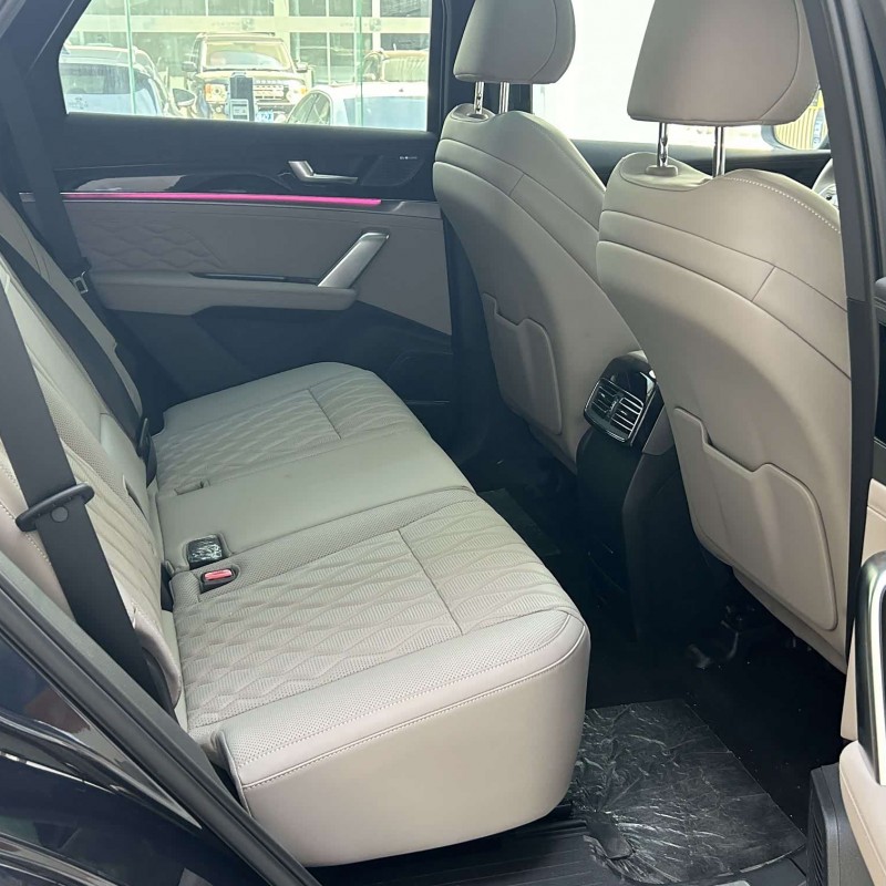 Tang New Energy 2025 DM-i 115KM Premium Edition Tang New Energy 2025 DM-i 115KM Premium Edition