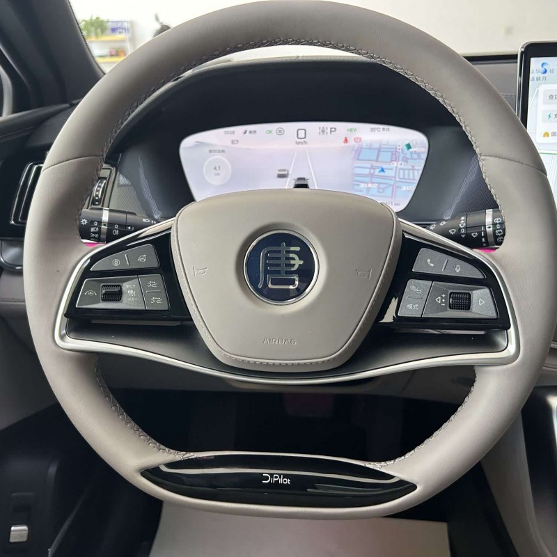 Tang New Energy 2025 DM-i 115KM Premium Edition Tang New Energy 2025 DM-i 115KM Premium Edition