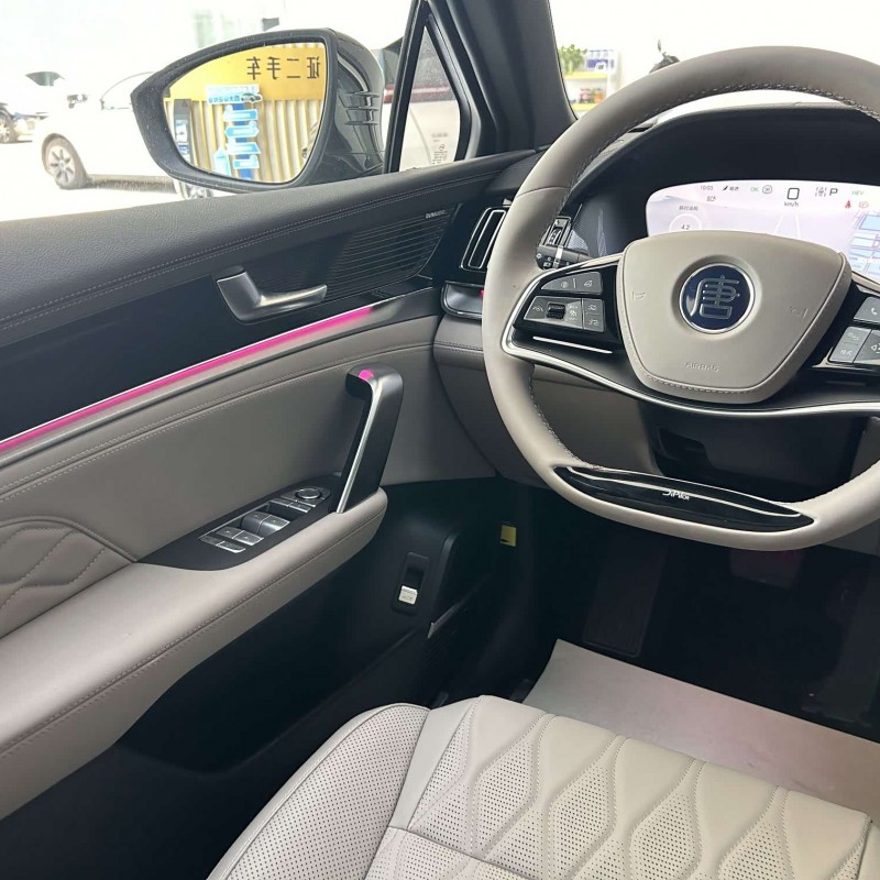 Tang New Energy 2025 DM-i 115KM Premium Edition Tang New Energy 2025 DM-i 115KM Premium Edition