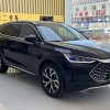 Tang New Energy 2025 DM-i 115KM Premium Edition Tang New Energy 2025 DM-i 115KM Premium Edition