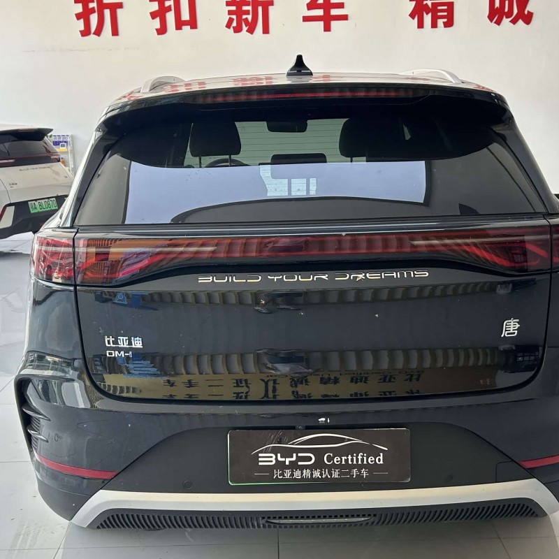 Tang New Energy 2025 DM-i 115KM Premium Edition Tang New Energy 2025 DM-i 115KM Premium Edition