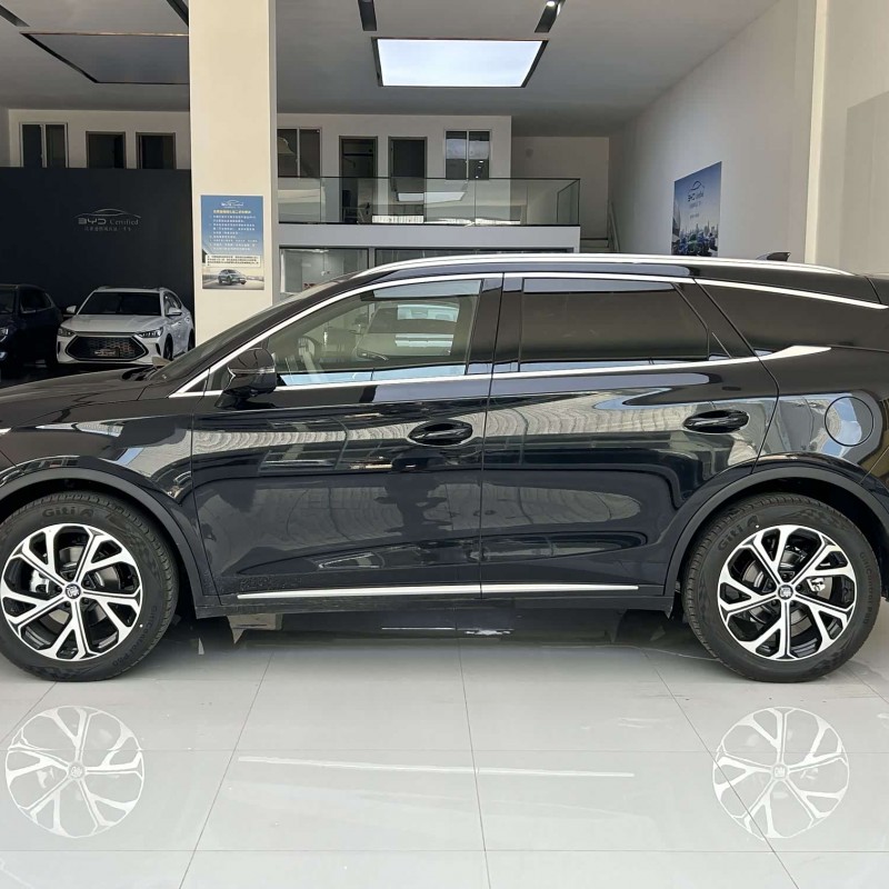 Tang New Energy 2025 DM-i 115KM Premium Edition Tang New Energy 2025 DM-i 115KM Premium Edition
