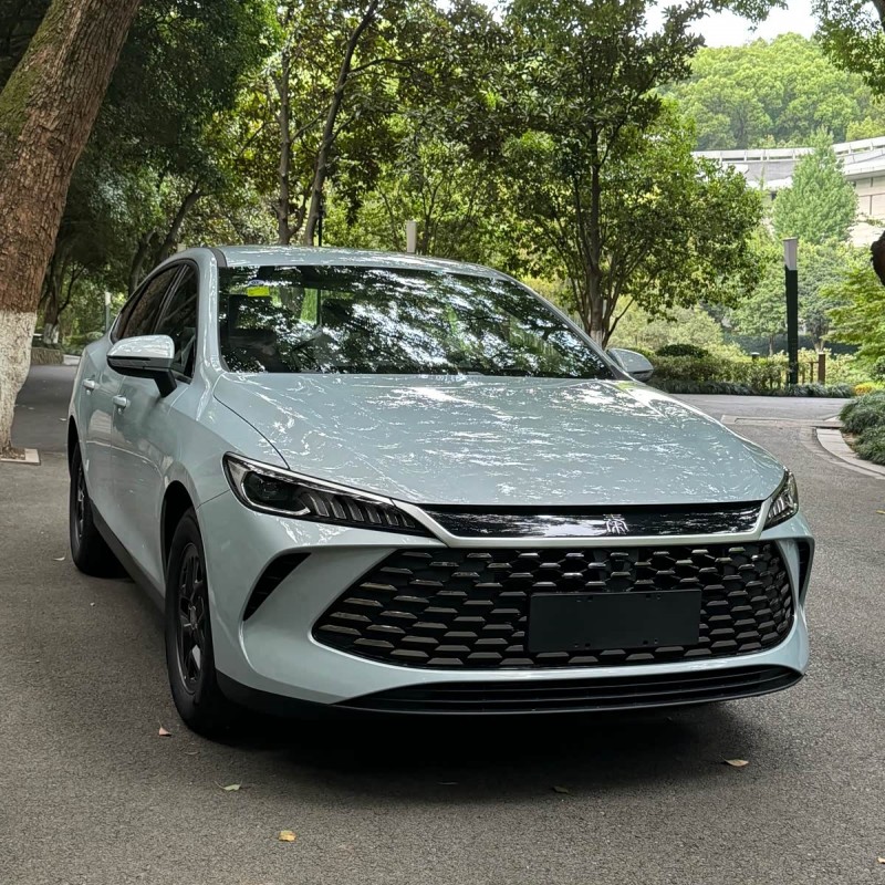 Qin PLUS 2025 DM-i Intelligent Driving Edition 55KM Leading Edition