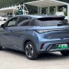 Dolphin 2025 420km Fashion Edition Dolphin 2025 420km Fashion Edition