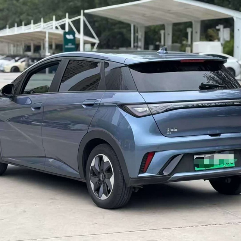 Dolphin 2025 420km Fashion Edition Dolphin 2025 420km Fashion Edition