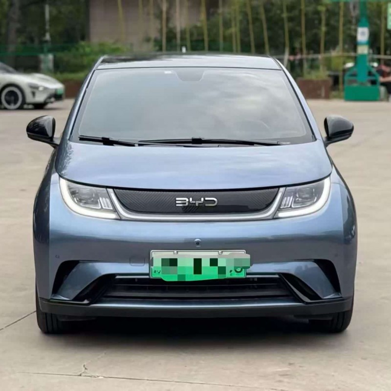 Dolphin 2025 420km Fashion Edition Dolphin 2025 420km Fashion Edition