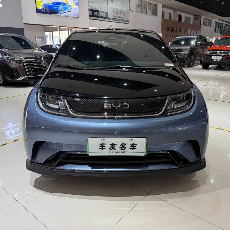 Dolphin 2025 520km Knight Edition Dolphin 2025 520km Knight Edition