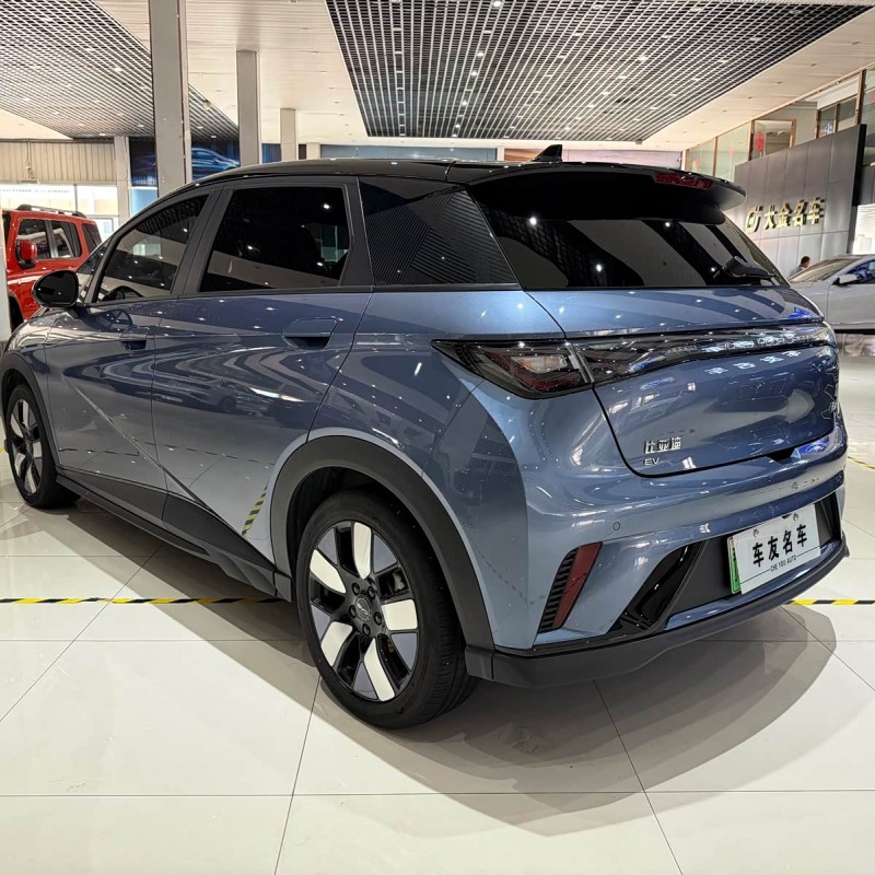 Dolphin 2025 520km Knight Edition Dolphin 2025 520km Knight Edition